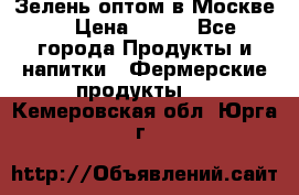 Зелень оптом в Москве. › Цена ­ 600 - Все города Продукты и напитки » Фермерские продукты   . Кемеровская обл.,Юрга г.